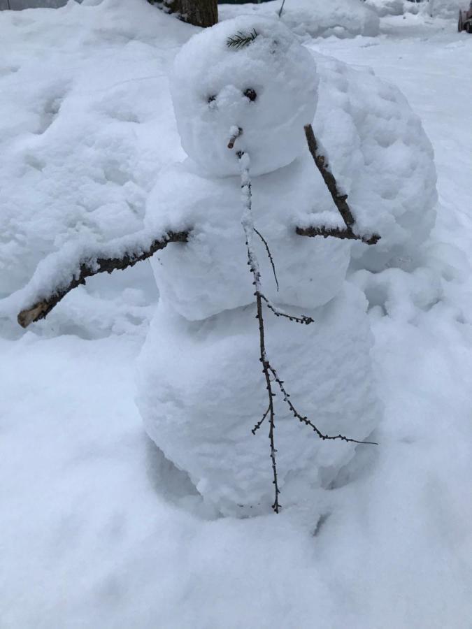 Hakuba Cottage Gram Luaran gambar