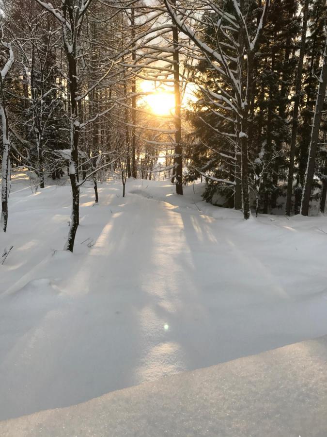Hakuba Cottage Gram Luaran gambar