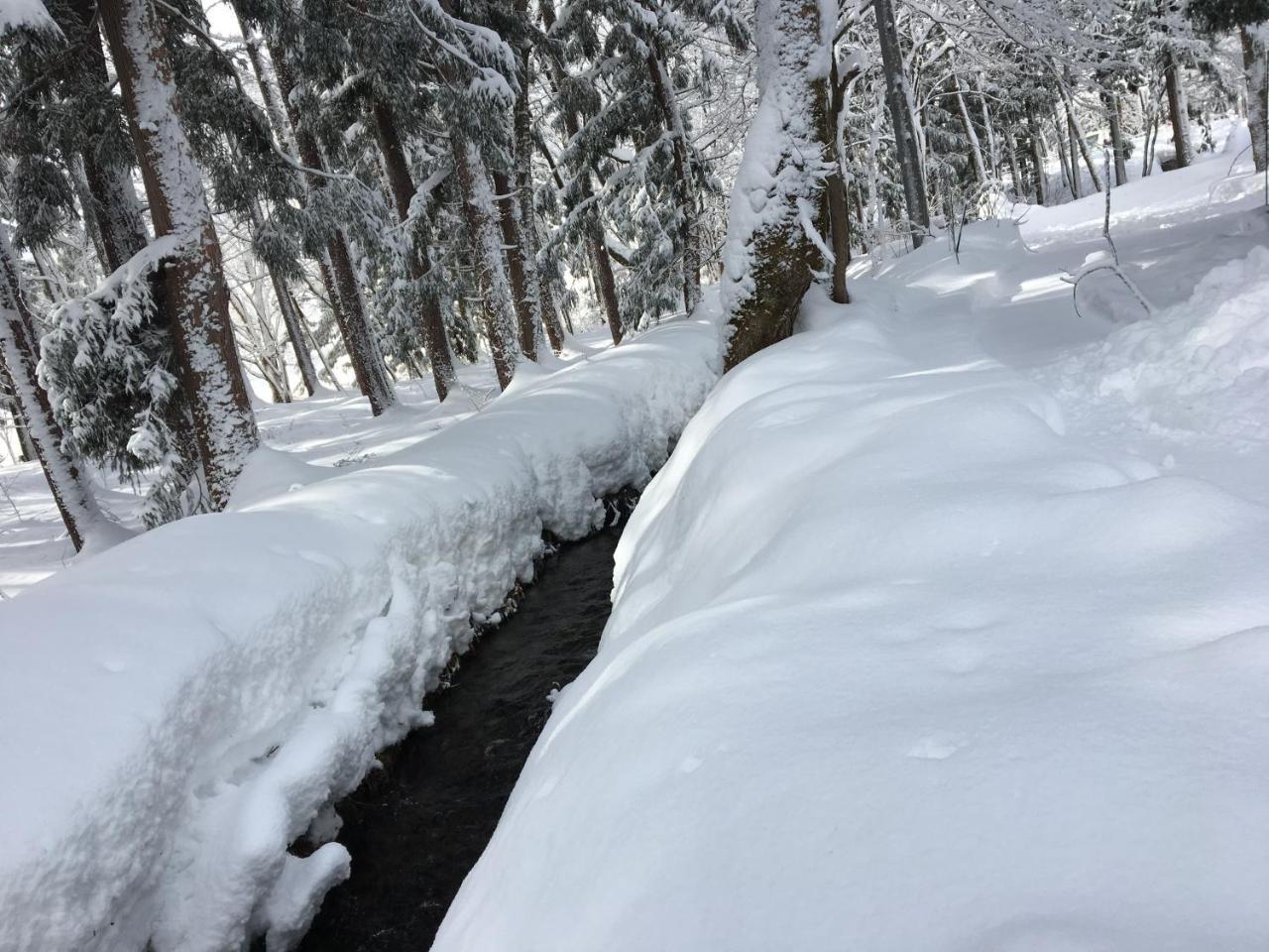 Hakuba Cottage Gram Luaran gambar