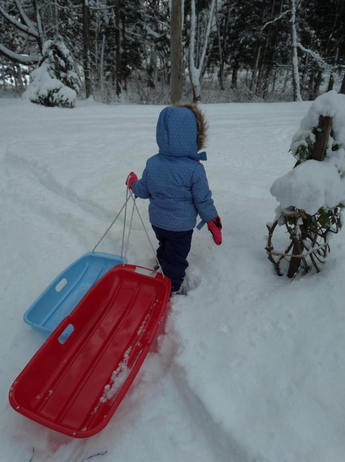 Hakuba Cottage Gram Luaran gambar